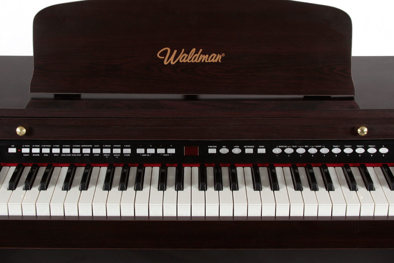 Stylishgrand piano waldman Stylishgrand piano waldman