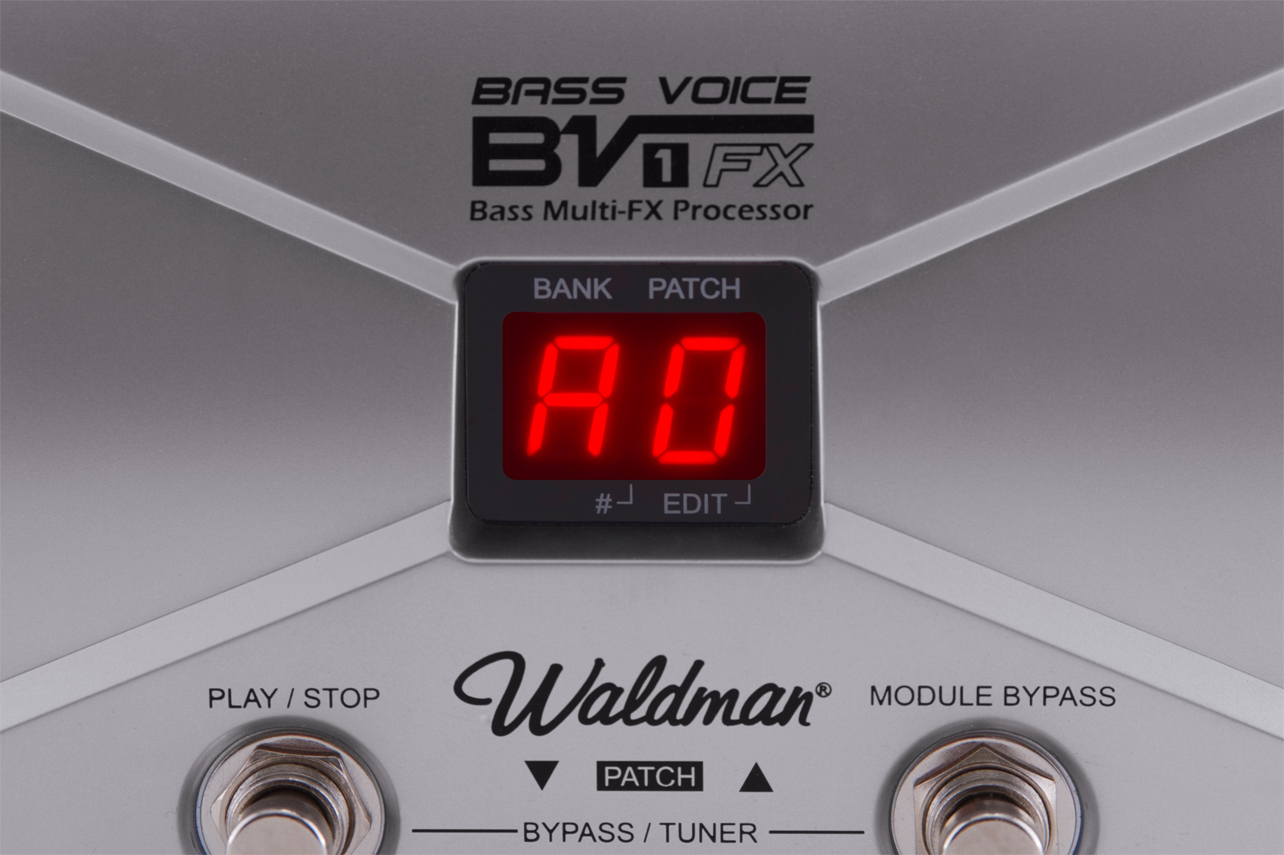 Bass Voice BV1 FX Equipo