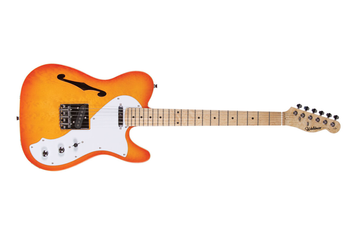 WALDMAN_GUITARRA_SOLIDA_GTE960Q_FRONT1.jpg