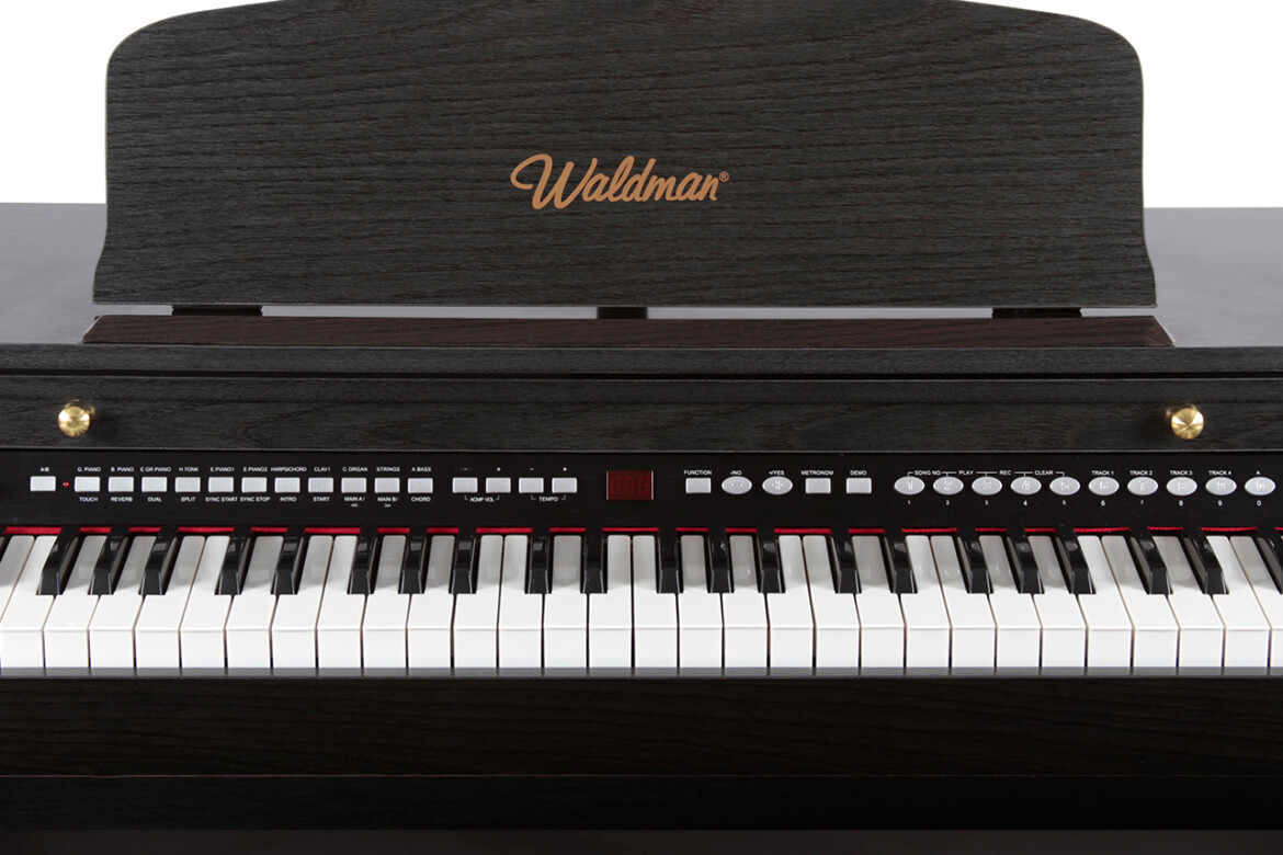 waldman-pianodigital-stylishgrand88usb-syg88usb-foto2.jpg
