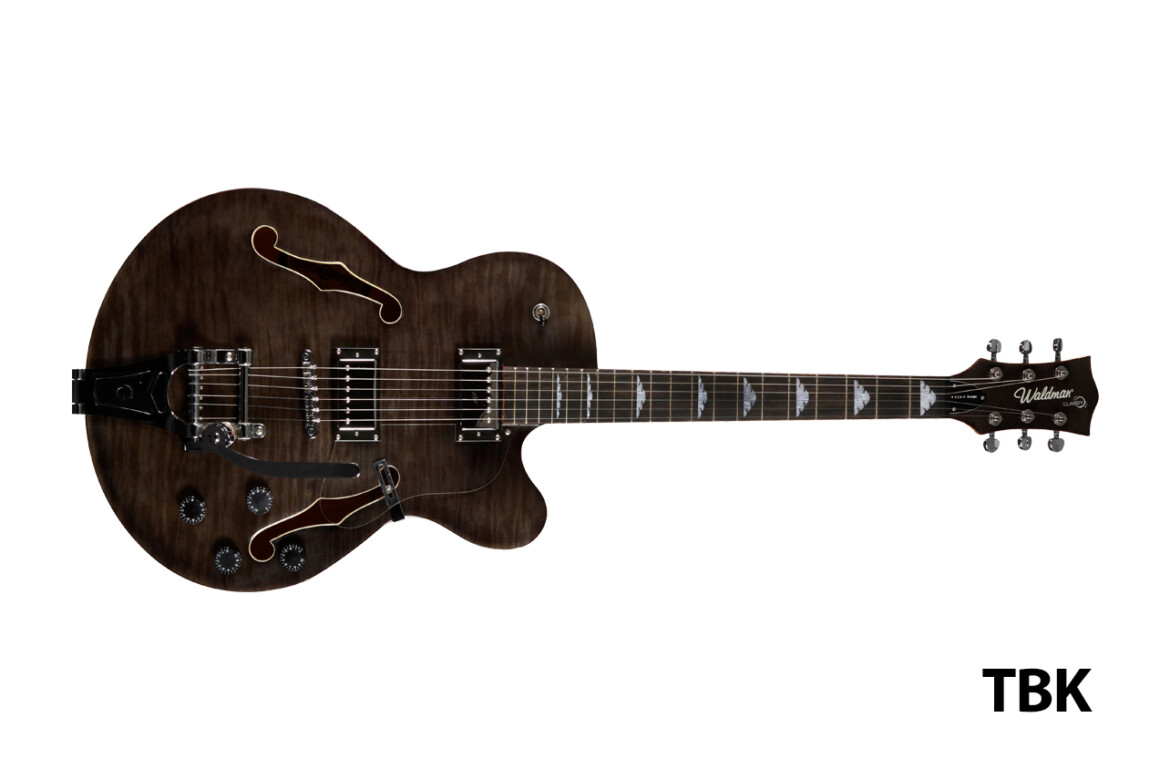 waldman_guitarra_semiacustica_ghj350bg_front_tbk.jpg