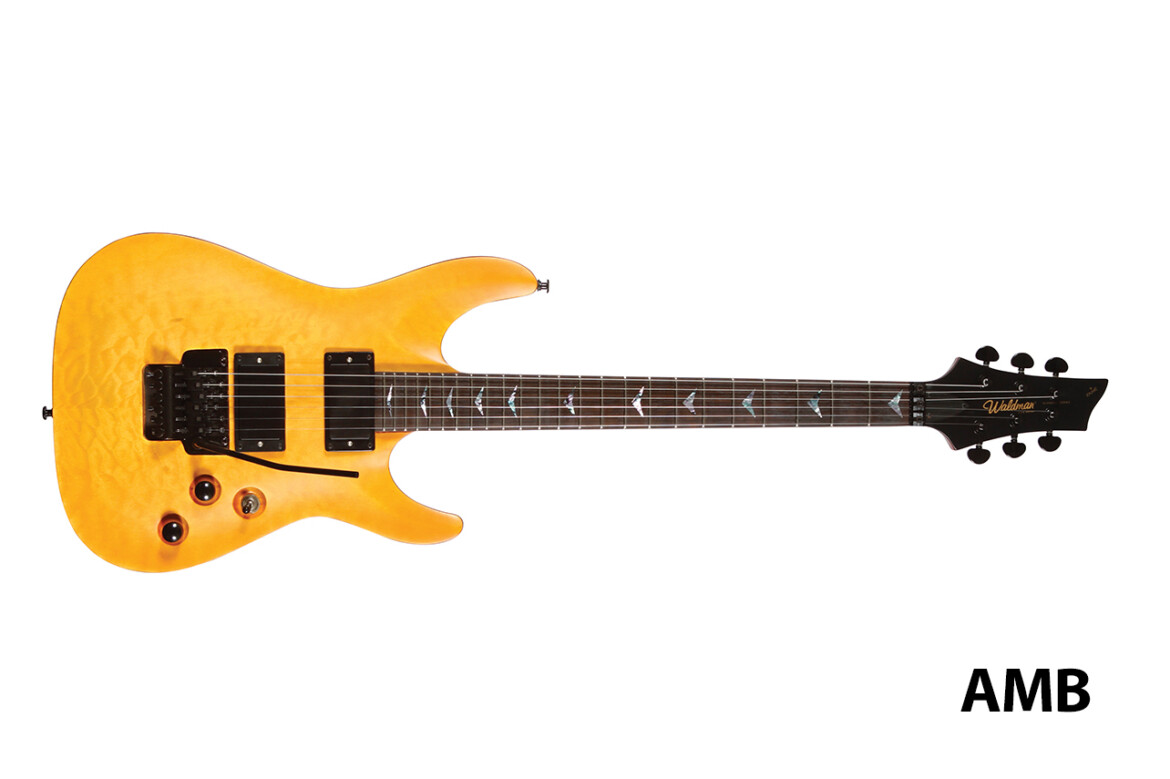 waldman_guitarra_solida_800q1.jpg