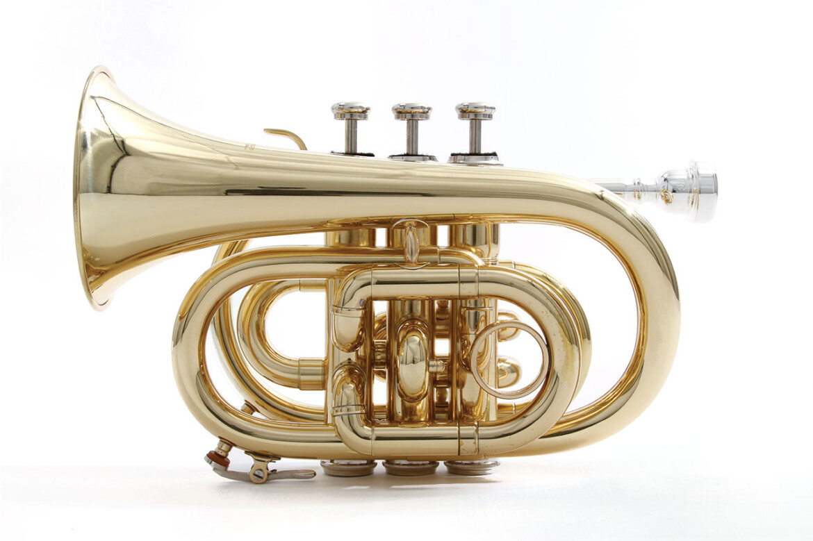 waldman_sopro_trompetepocket_wptgd_side.jpg