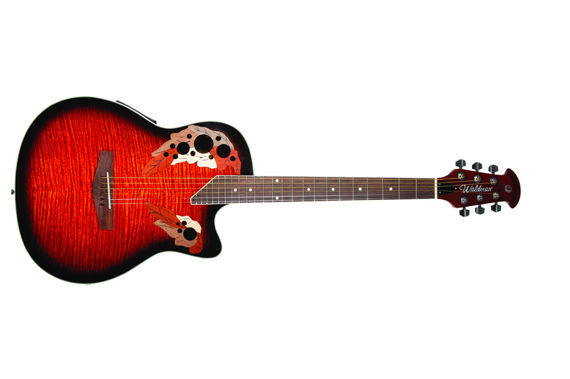 waldman_violao_gov700_front1.jpg